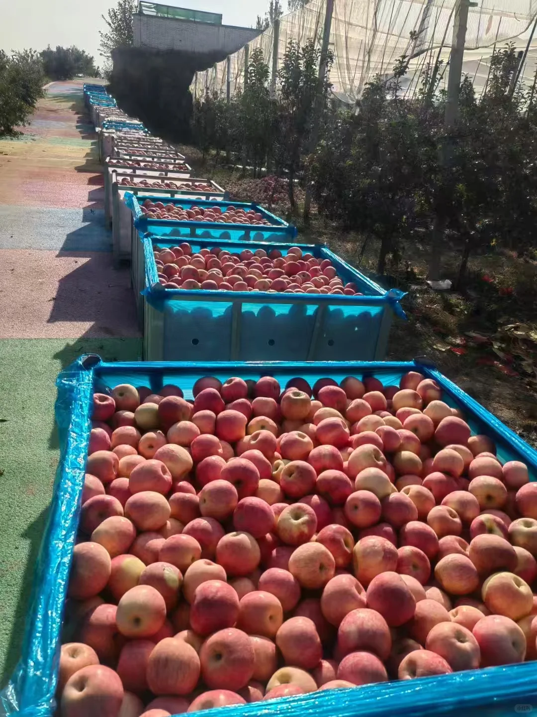 食品厂家来做代加工啦!