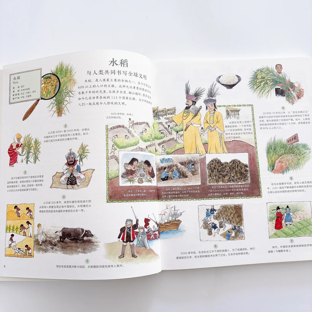 太好看了‼️每天和女儿抢着看这本科普书