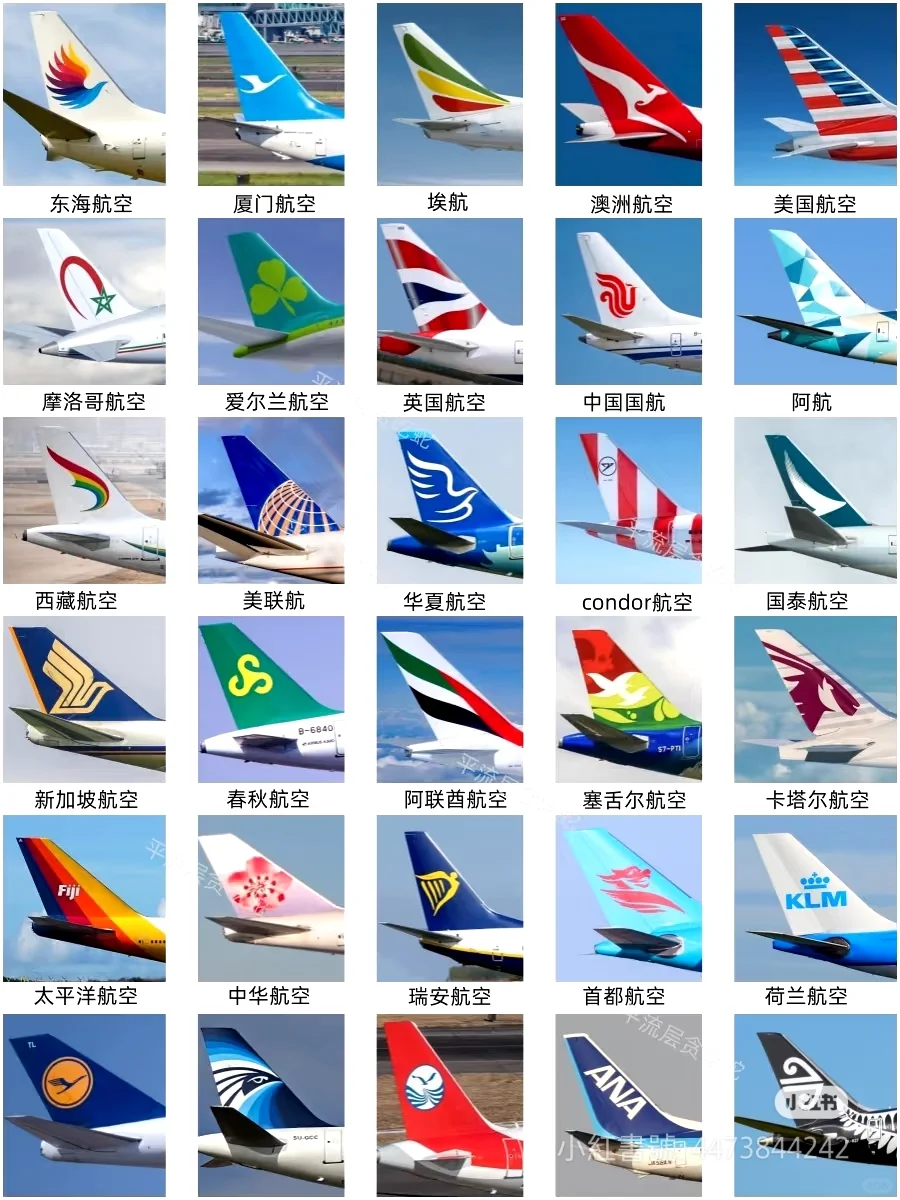 你认识这些吗？