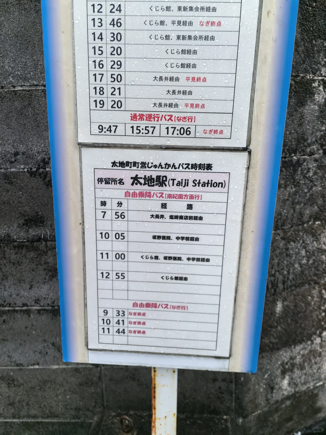 日本关西地区纪伊半岛和歌山太地町，海豚湾