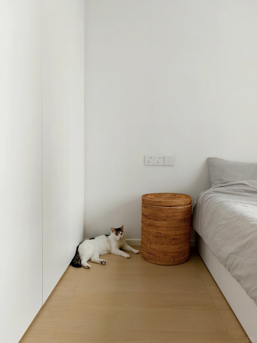 多乐士028配爱格w1000太完美了。