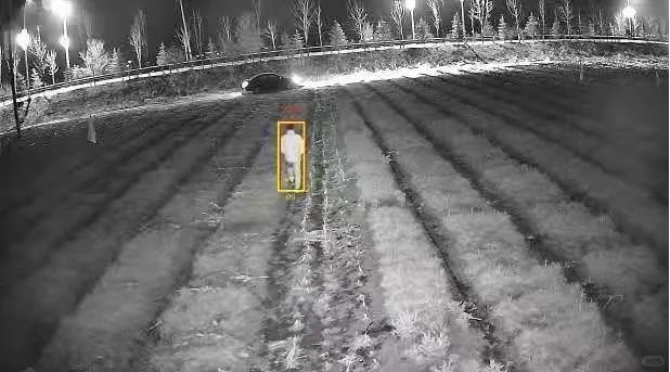 大型果园周界防范设计方案