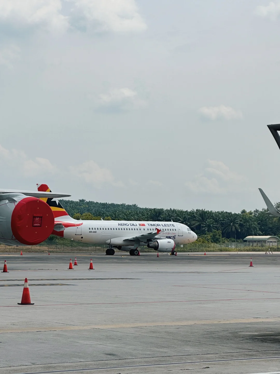 又有大飞机看了