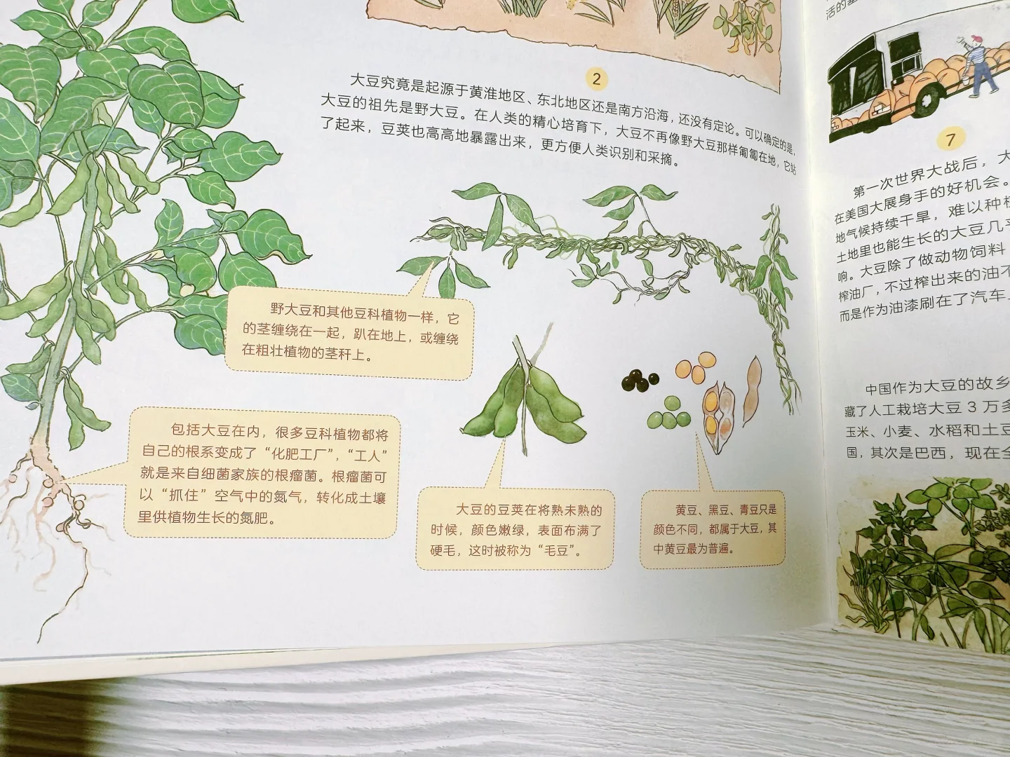 ? 它是「衣食无忧」时代最好的感恩教育。