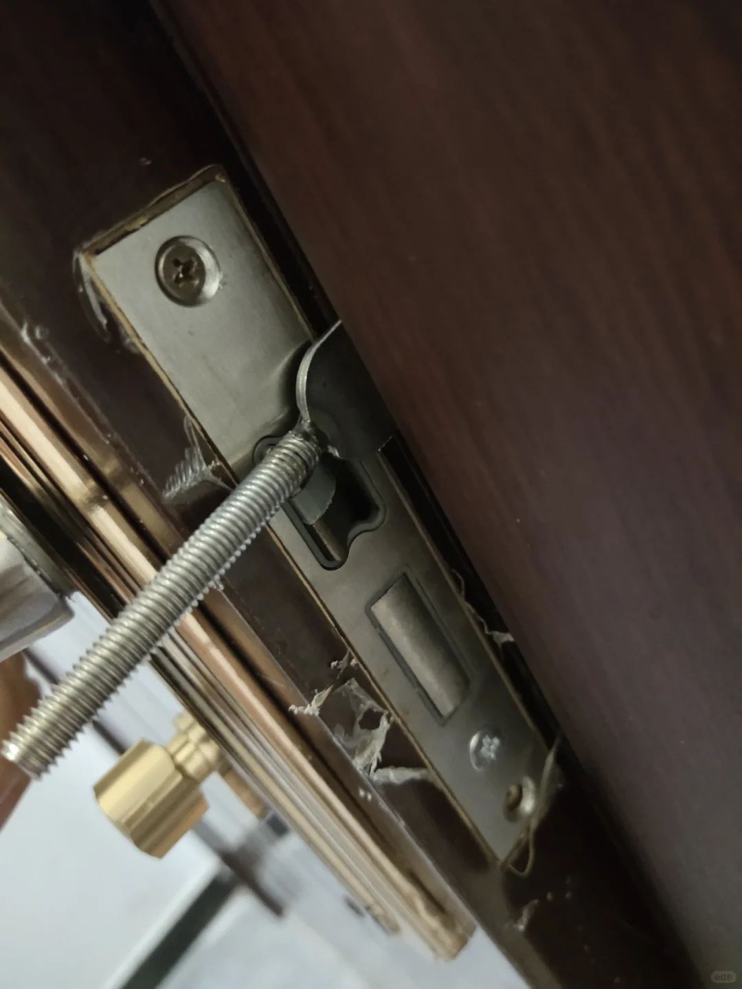 独居女孩的安全感