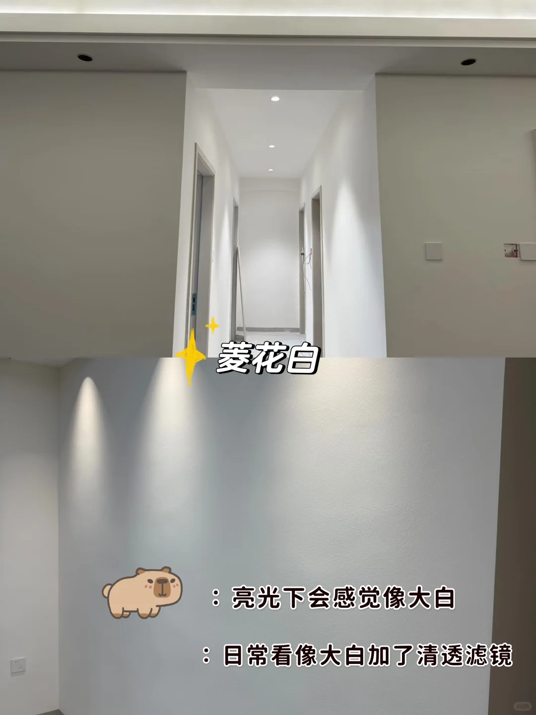 珍珠白和菱花白 ?实拍效果来啦❕❕