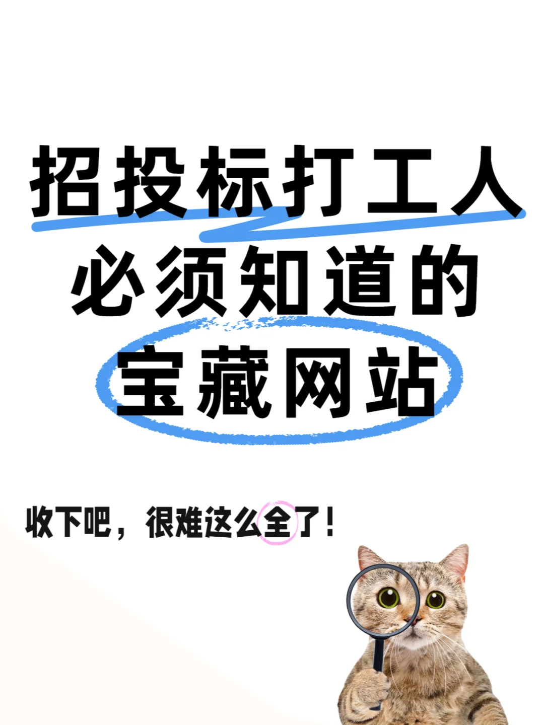 招投标?常用网站合集！最后一个??
