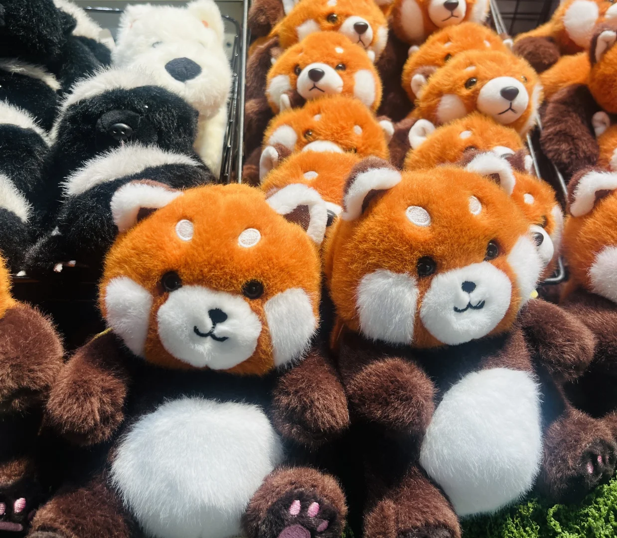 被闺蜜种草的掌中宝毛绒，可爱到犯规?