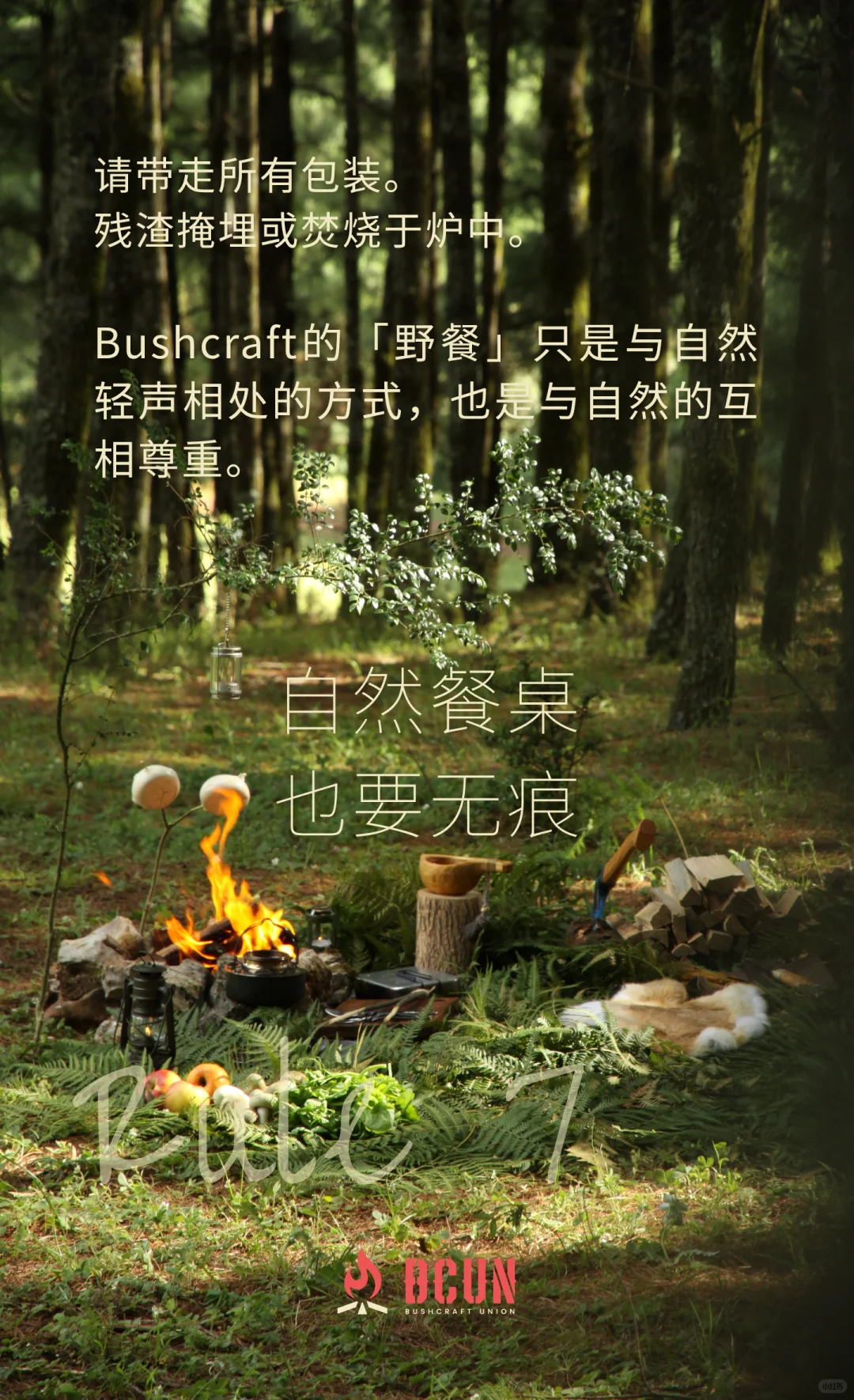 BCUN入林手册 | 10条Bushcraft环保守则