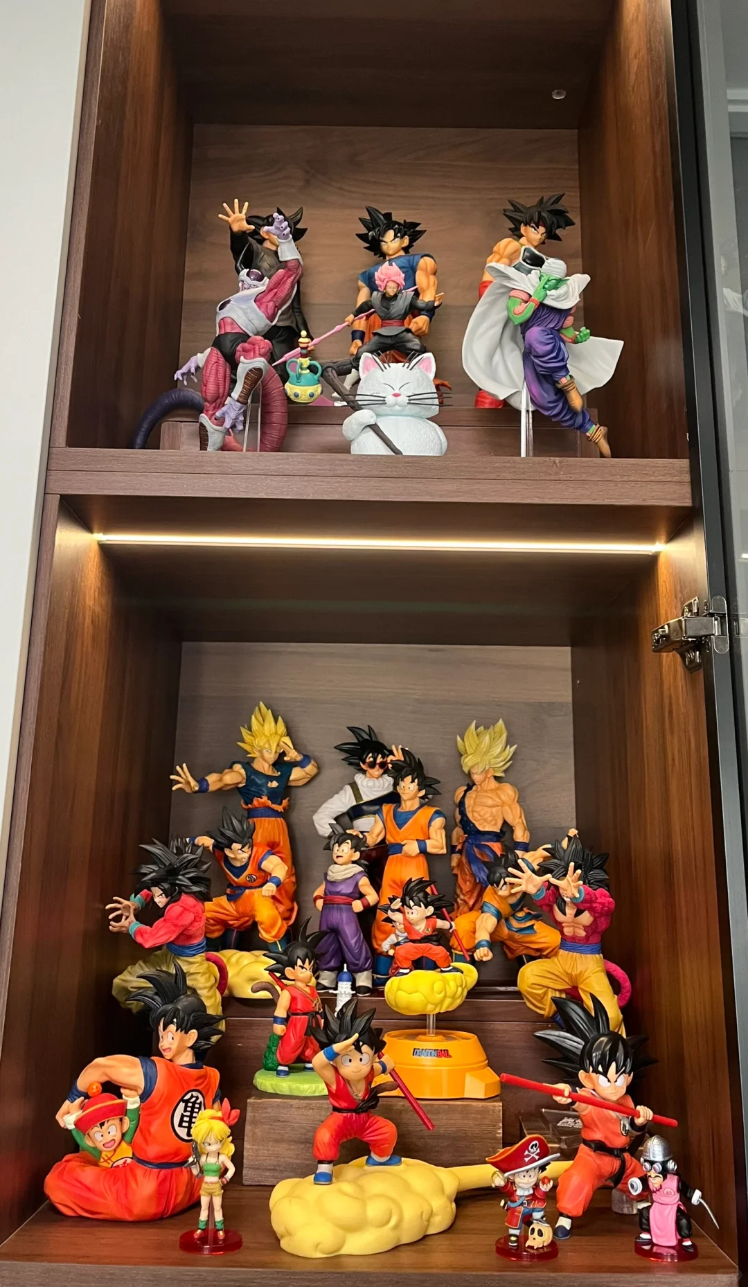 入坑半年的龙珠景品