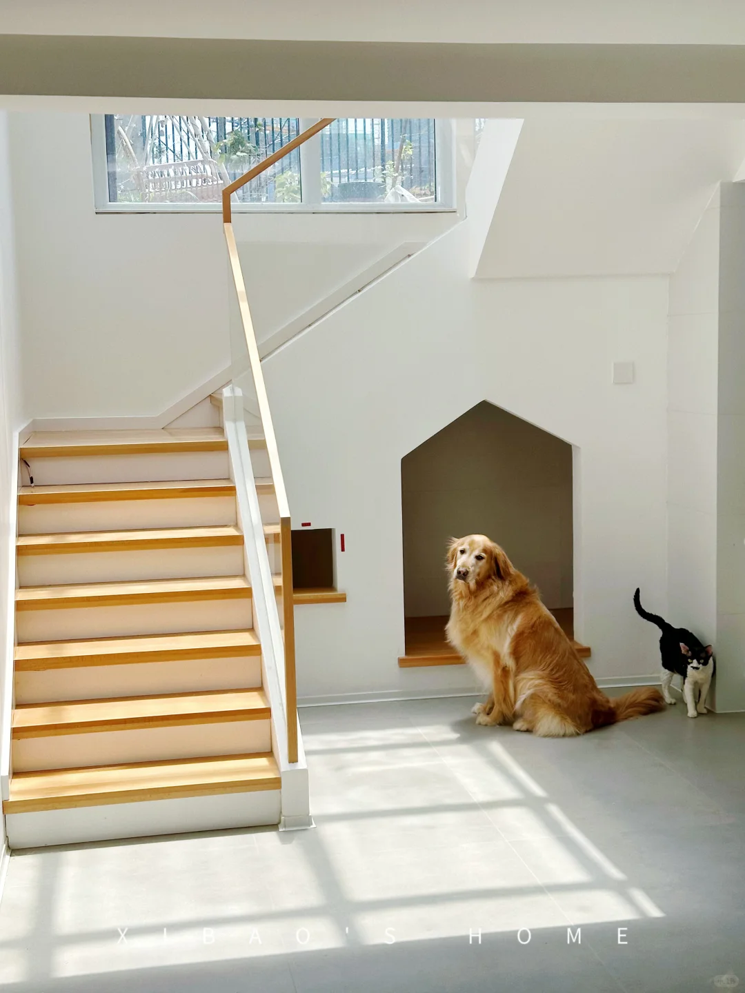 ?花一万七做了实木超白玻楼梯丨附详细尺寸