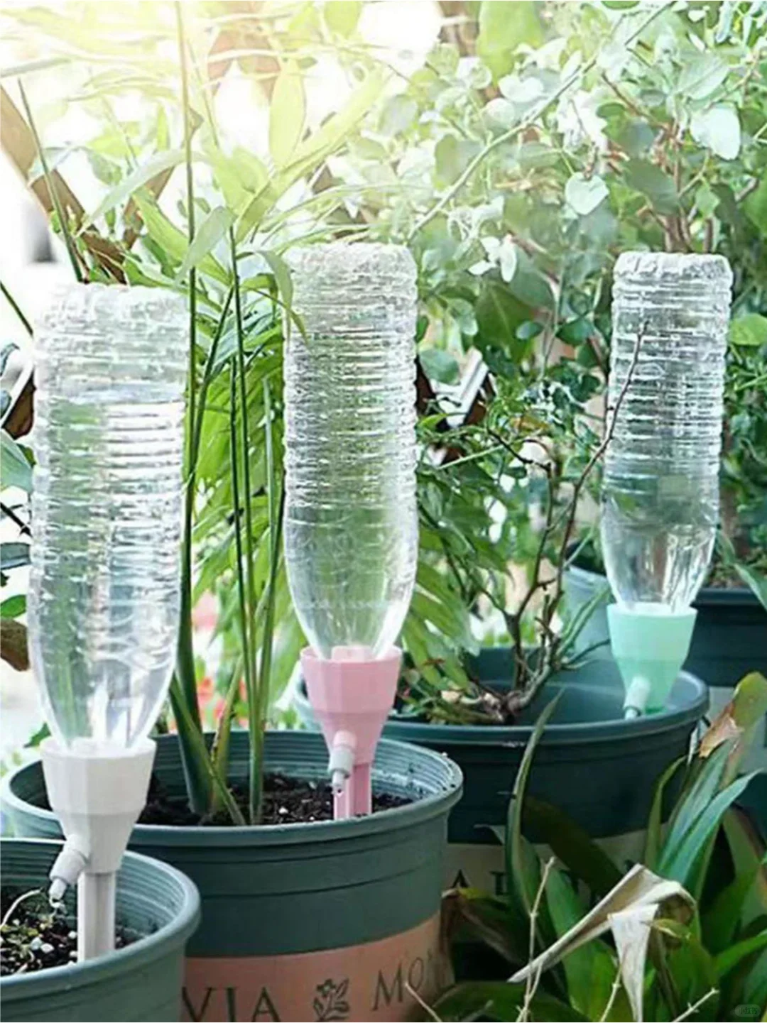 用上这些灌溉系统很高级