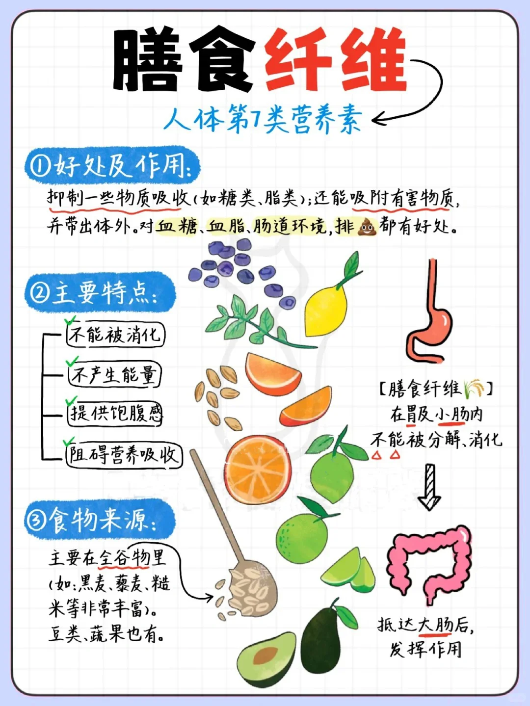 每日营养|膳食纤维补充指南❗️