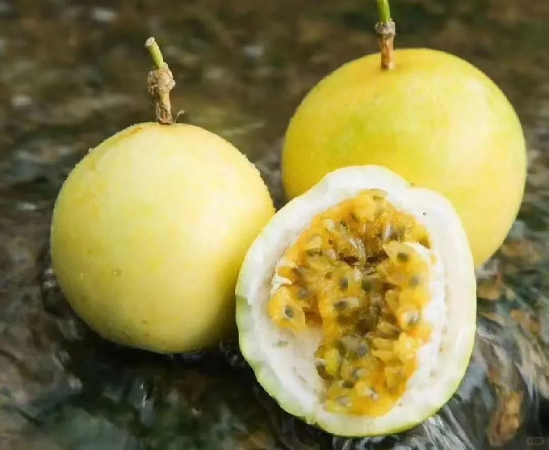 亩产3万元！盘点近期最火的5大“黄金作物”