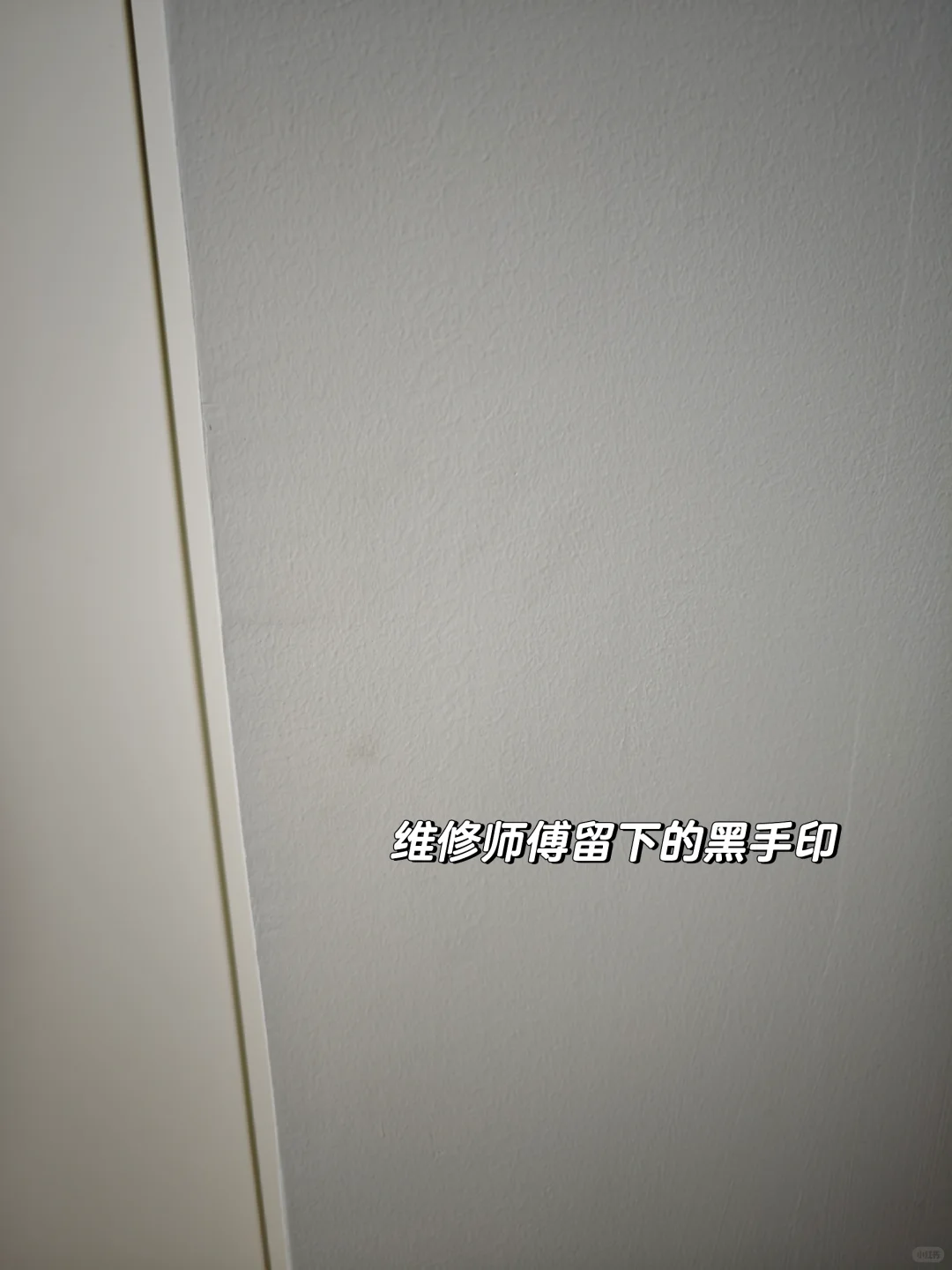 乳胶漆你才是真正的小娇妻吧！