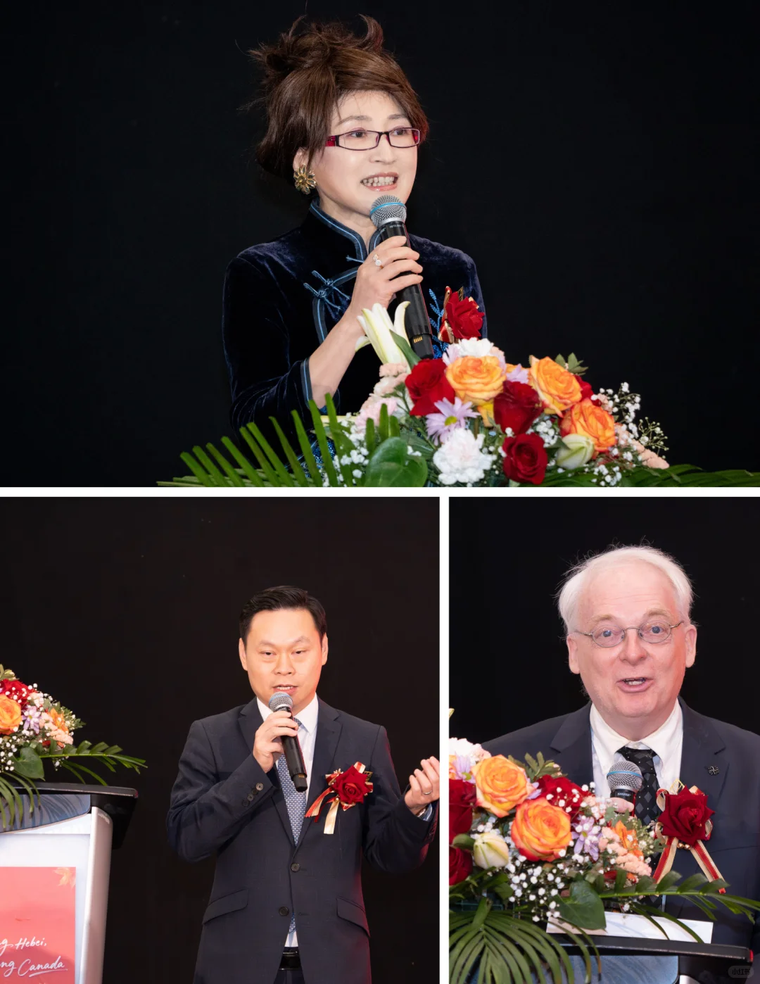 魅力河北 走进加拿大，文旅推介会圆满成功