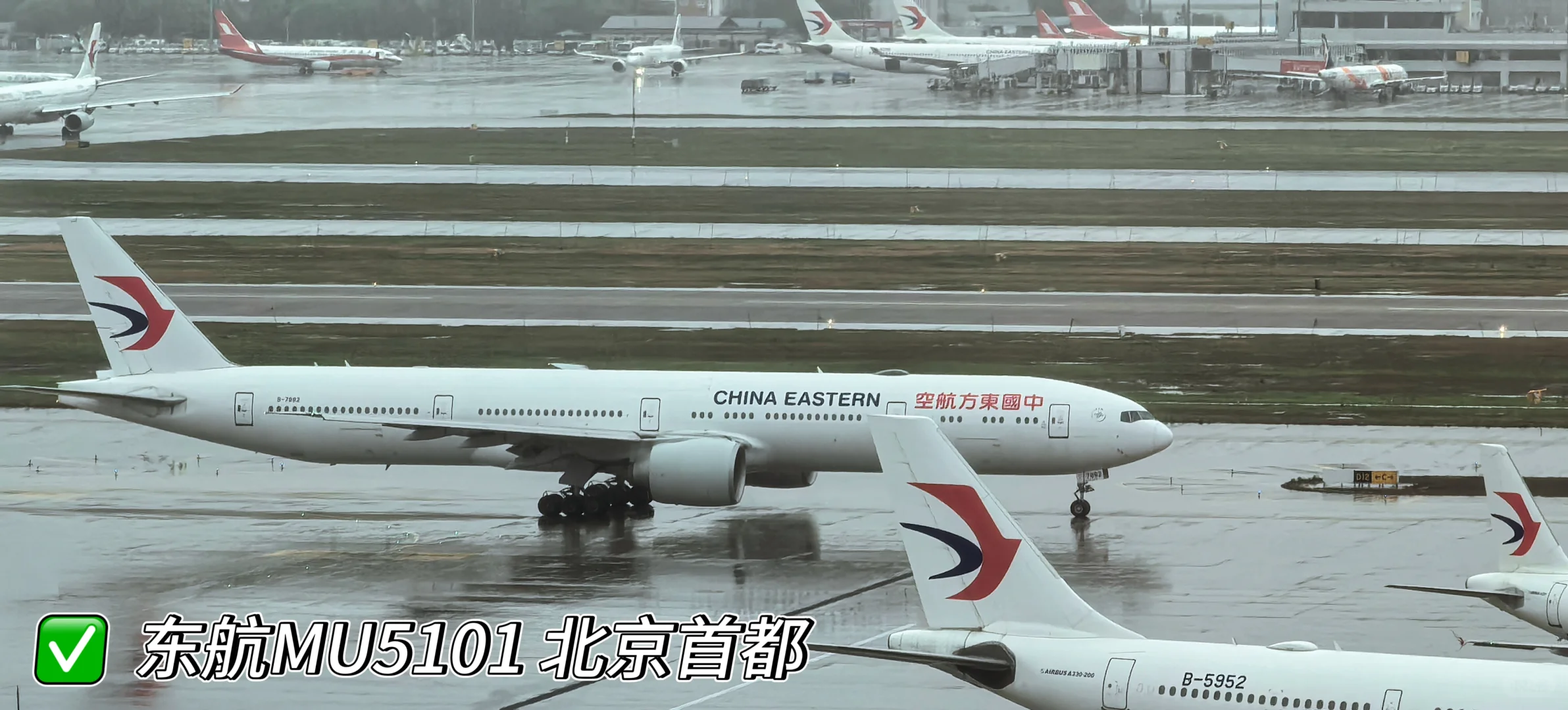 虹桥机场全景打卡 宽体机盛宴