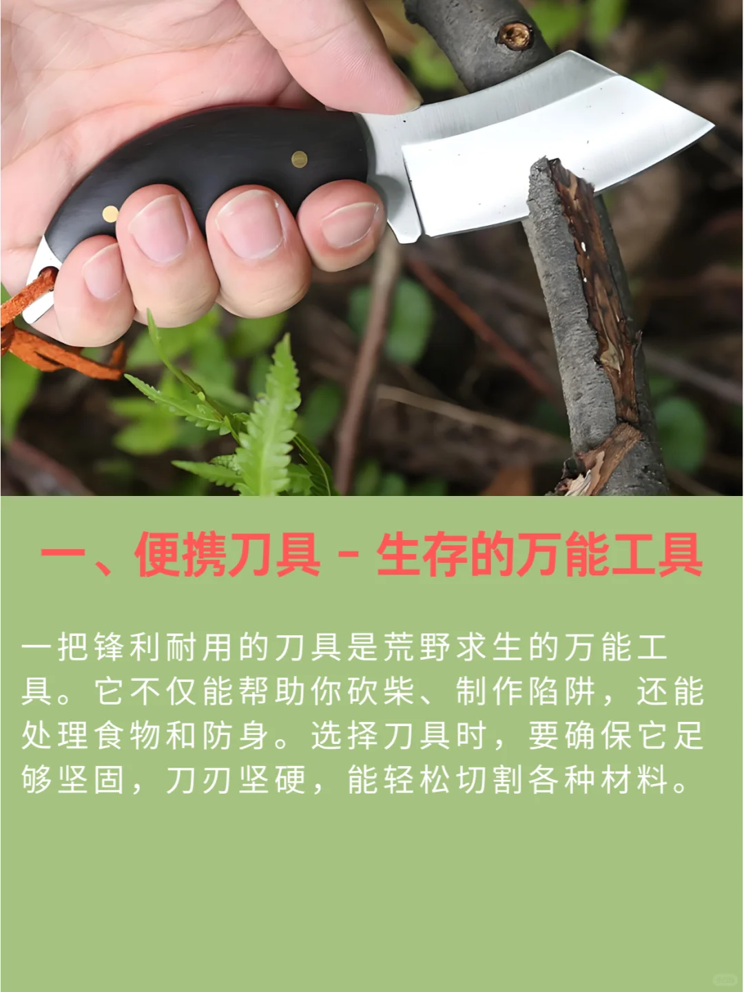 荒野求生必看 这十大必备装备你都知道吗?