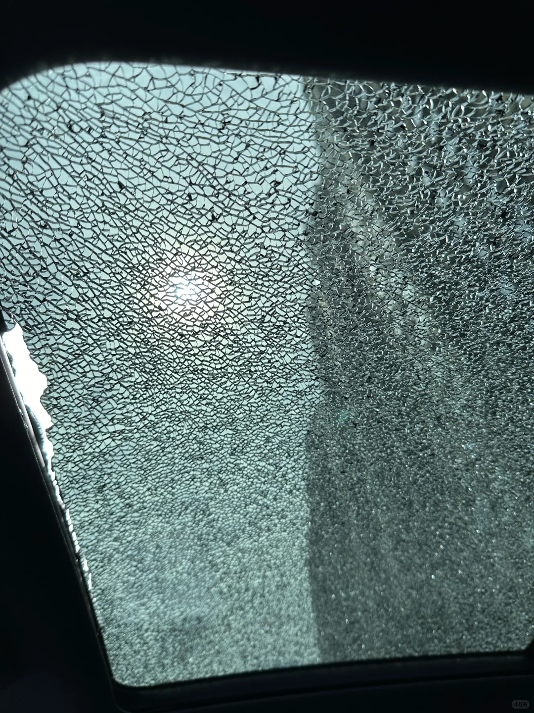 你还别说，这个价格挺良心