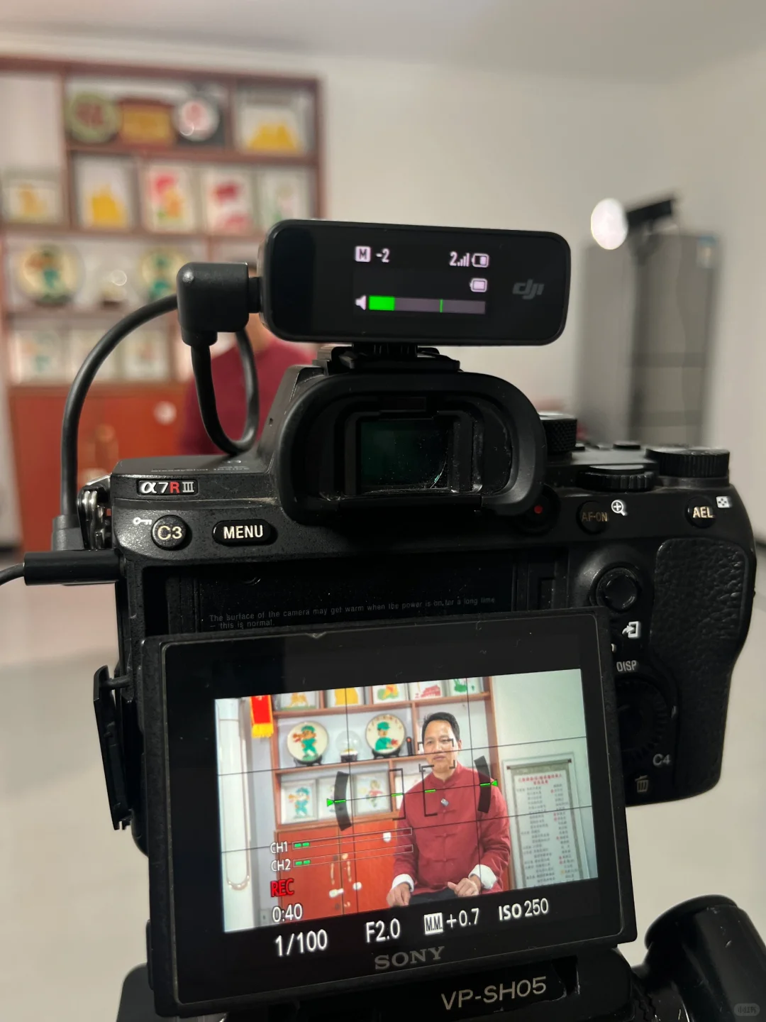 纪录片拍摄中/“绘糖成画”—糖画