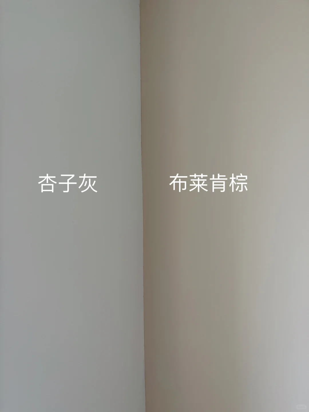 跟着小红书装修没翻车，杏子灰yyds