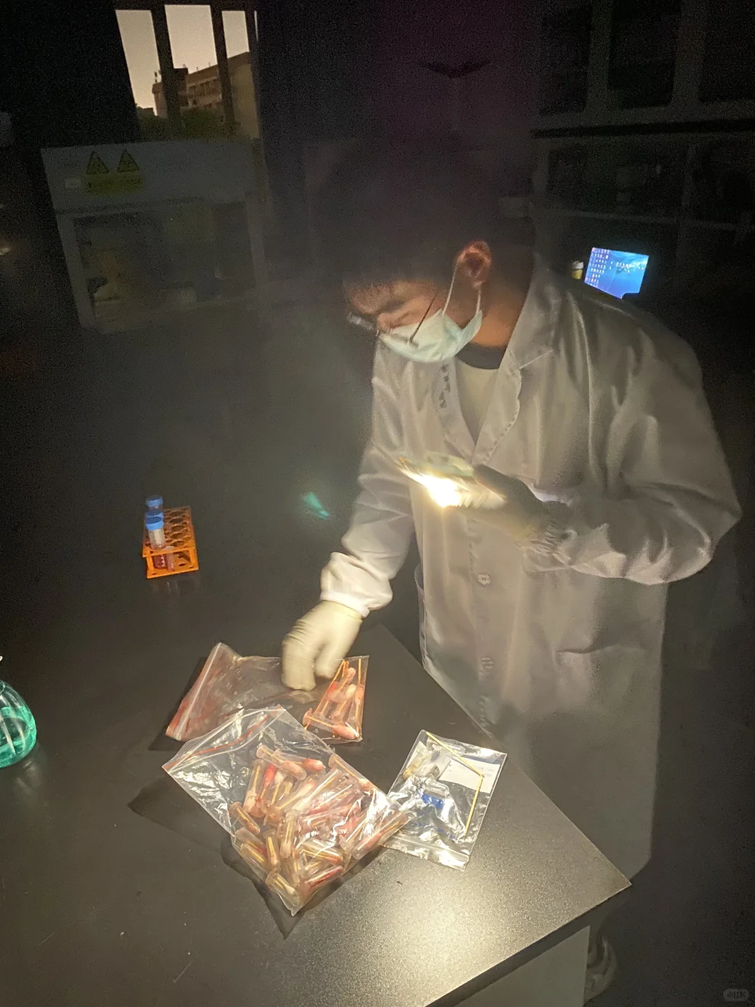 那是一条从雏鸡到牦牛的兽医路