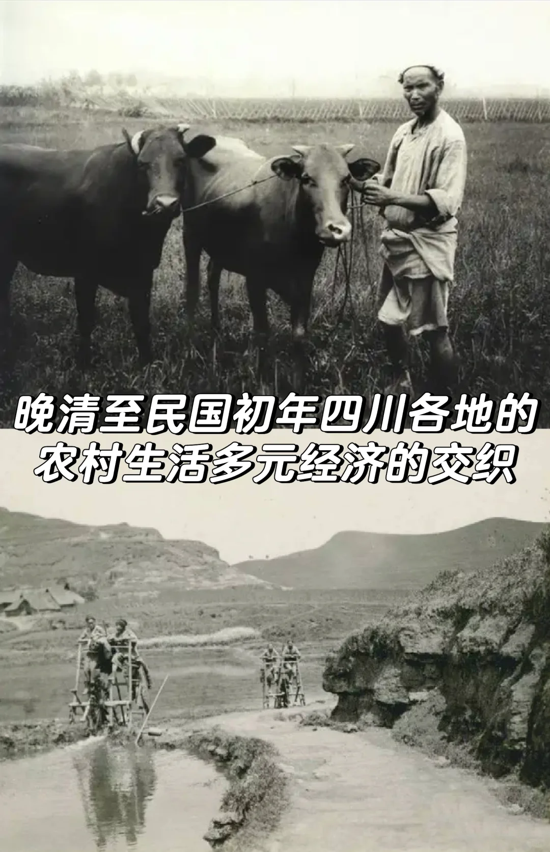 晚清至民国初年四川农村生活多元经济的交织