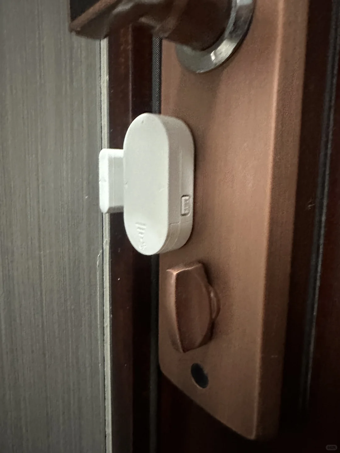 家有双狮，安全无忧!守护你的每一刻安宁