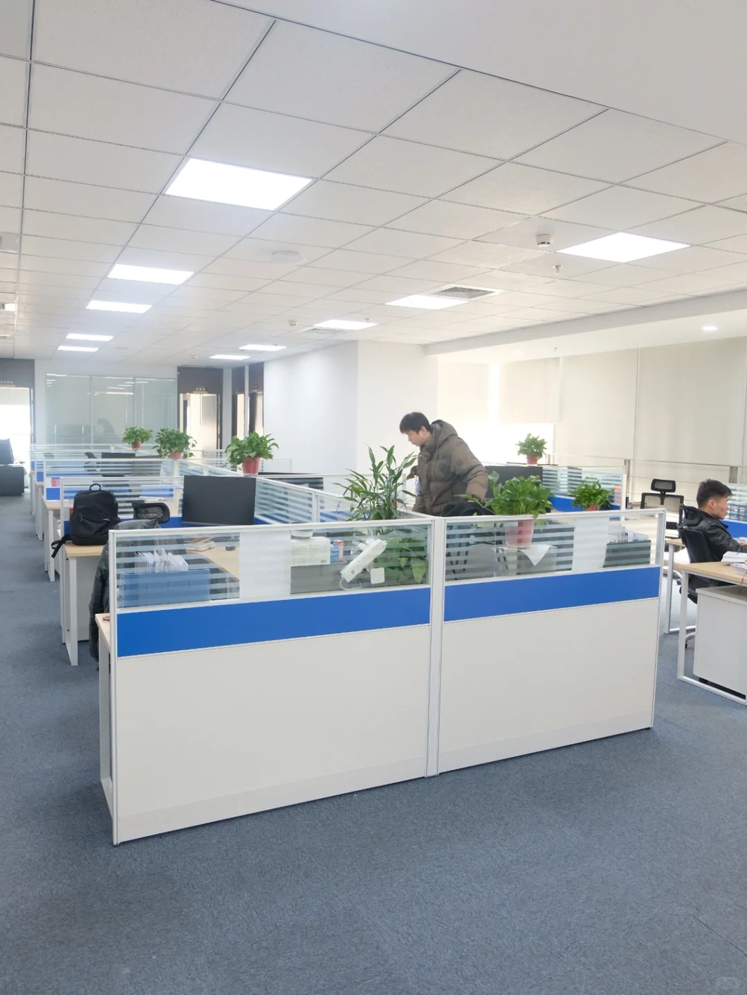 官宣！希倍优氢能源科技有限公司入驻小红书