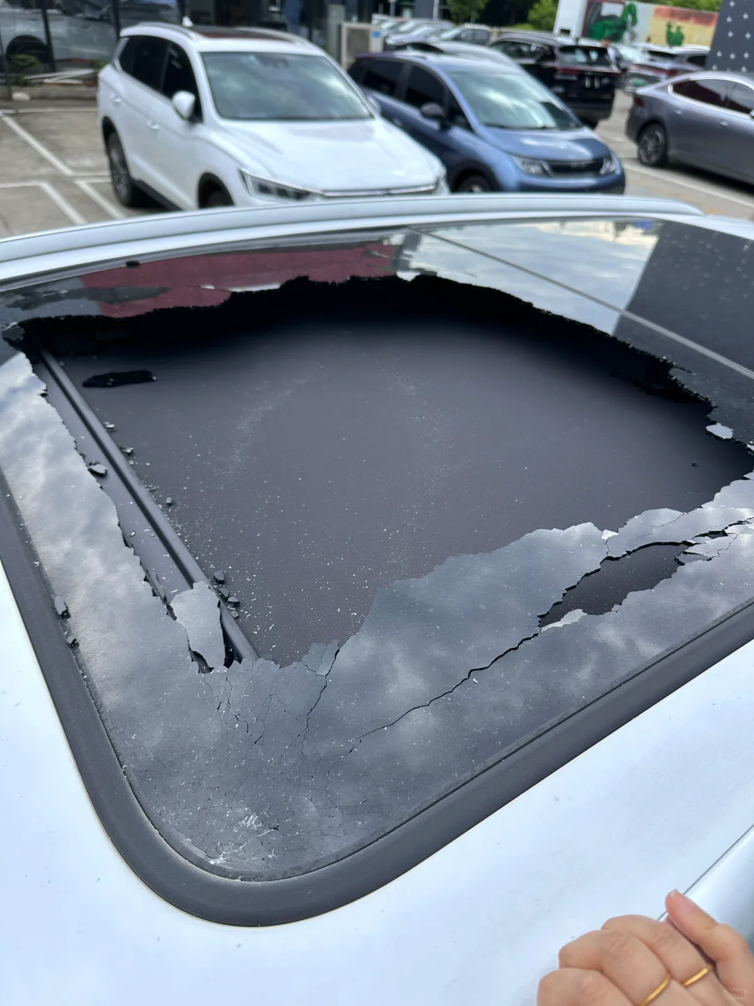 你还别说，这个价格挺良心