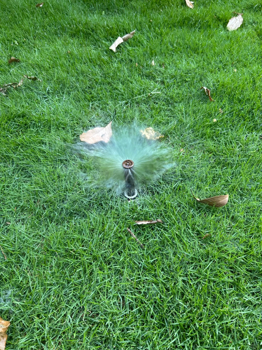 草坪的灌溉系统踩坑
