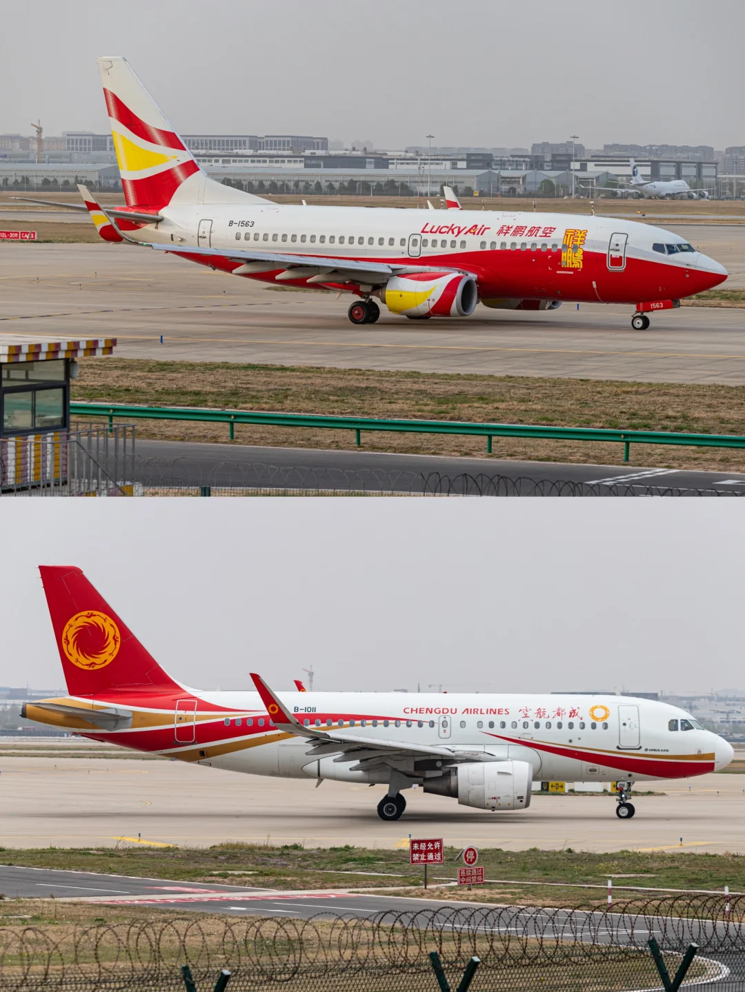 CGO 郑州新郑机场拍机（客机篇）