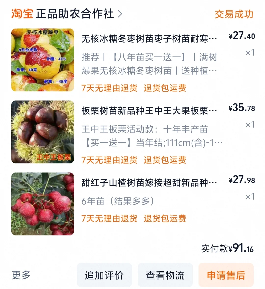 临沂树苗怎么回事