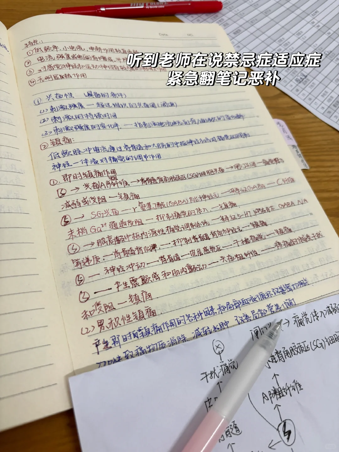 康复实习｜古希腊掌管理疗仪的实习牲