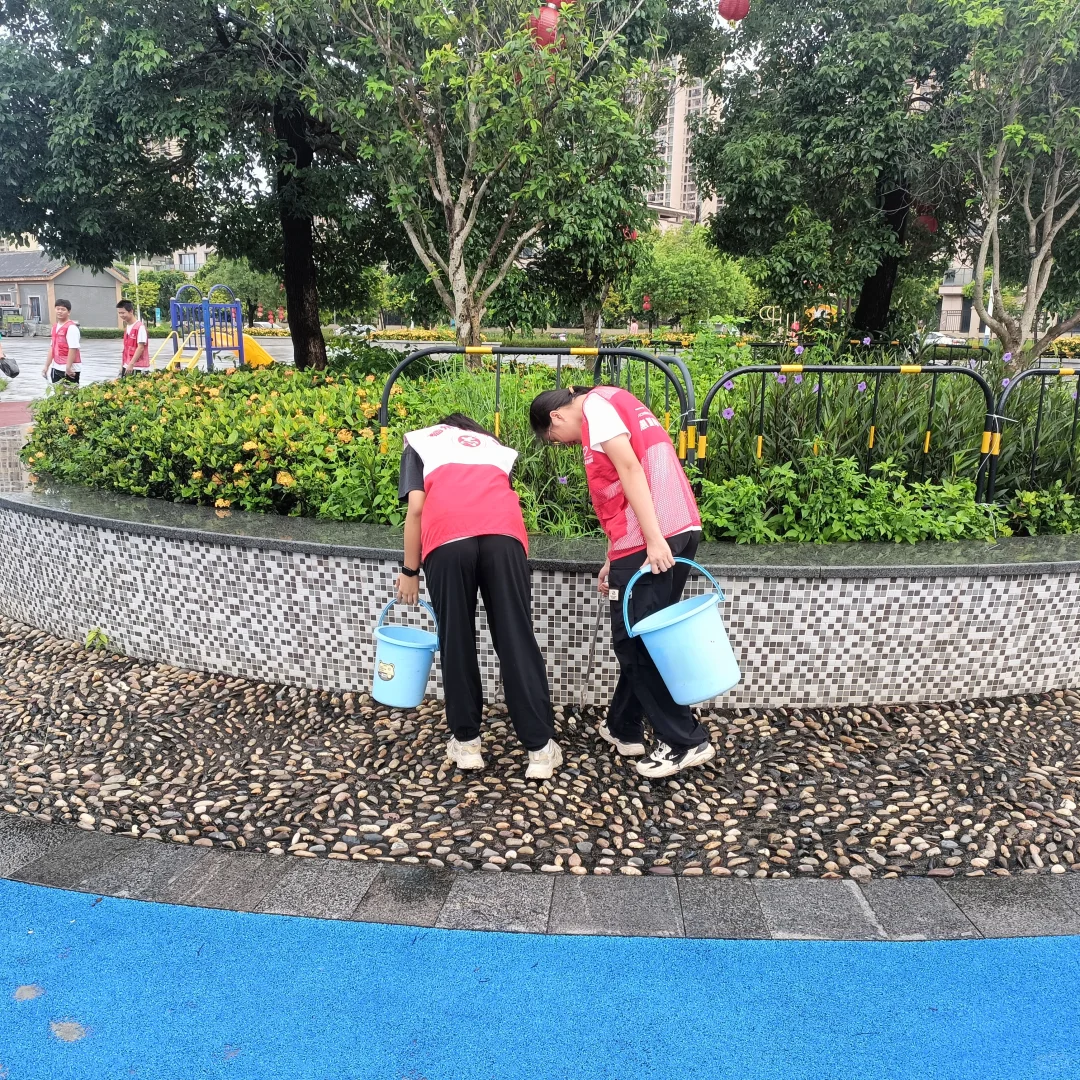 社会实践环保志愿活动照片自取6