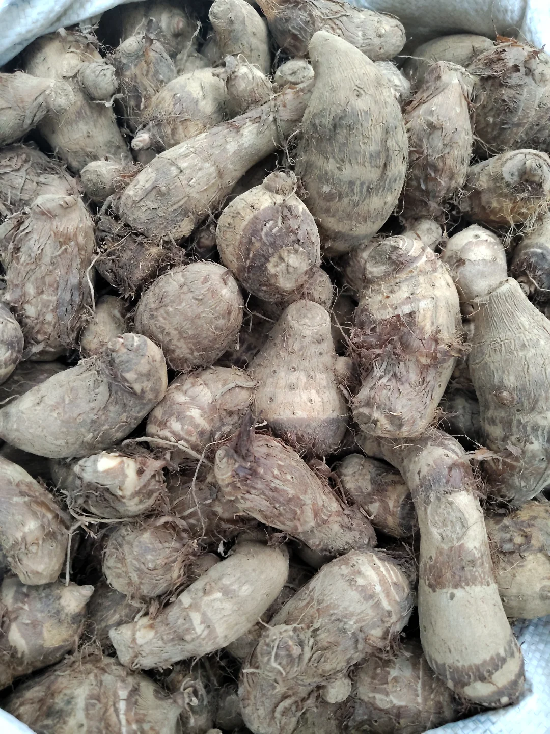 我不是不赊账，是赊不起了