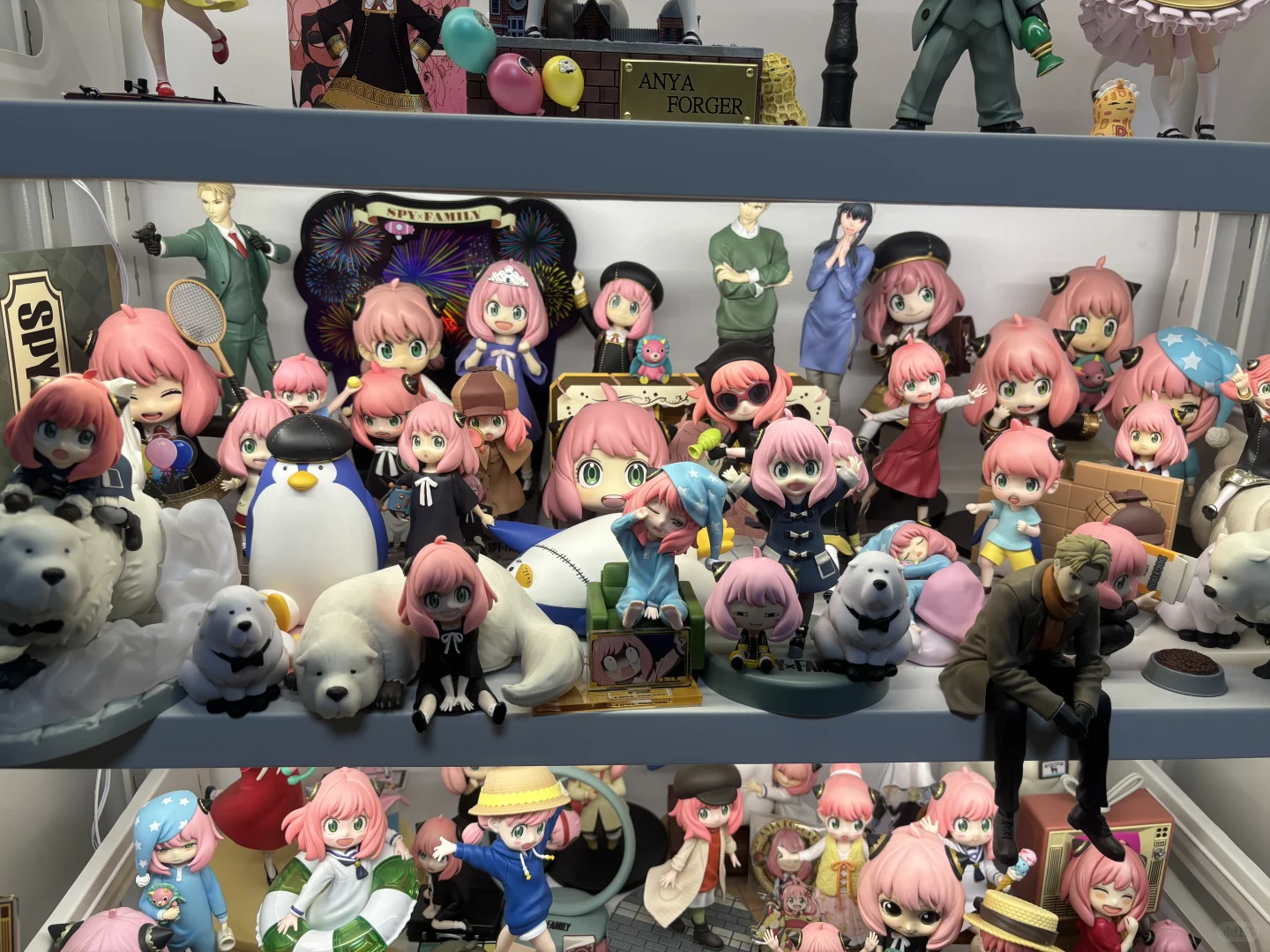 最近初步入手阿尼亚GK，顺便展示所有阿尼亚