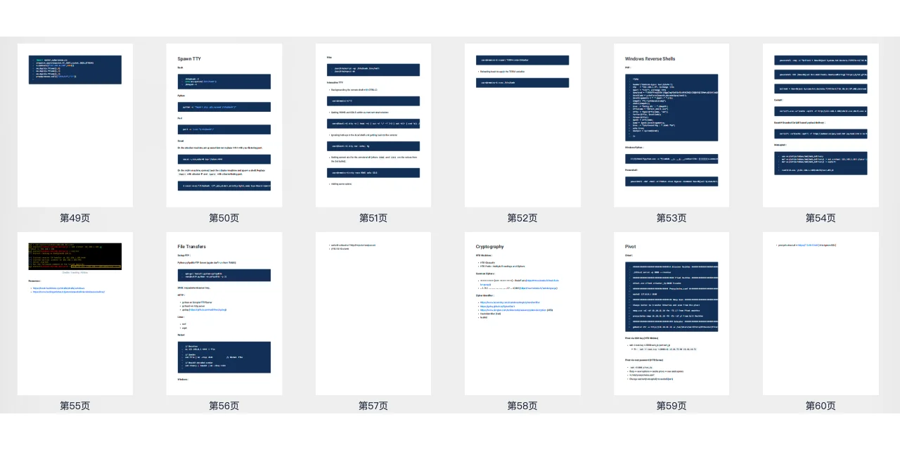 提升渗透测试技能：OSCP笔记