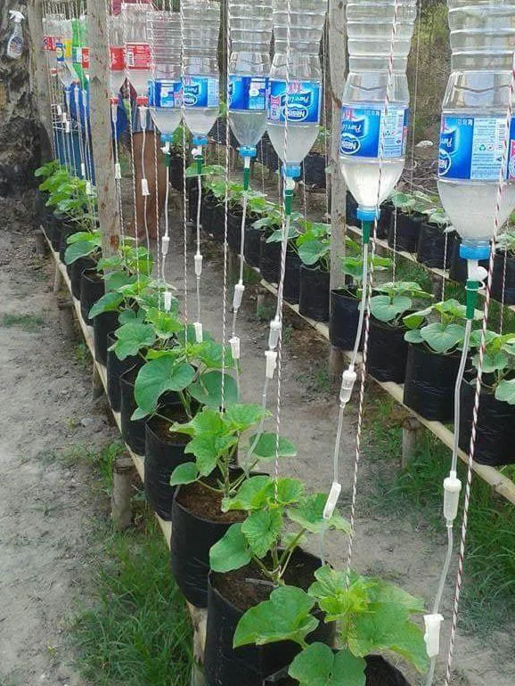 用上这些灌溉系统很高级