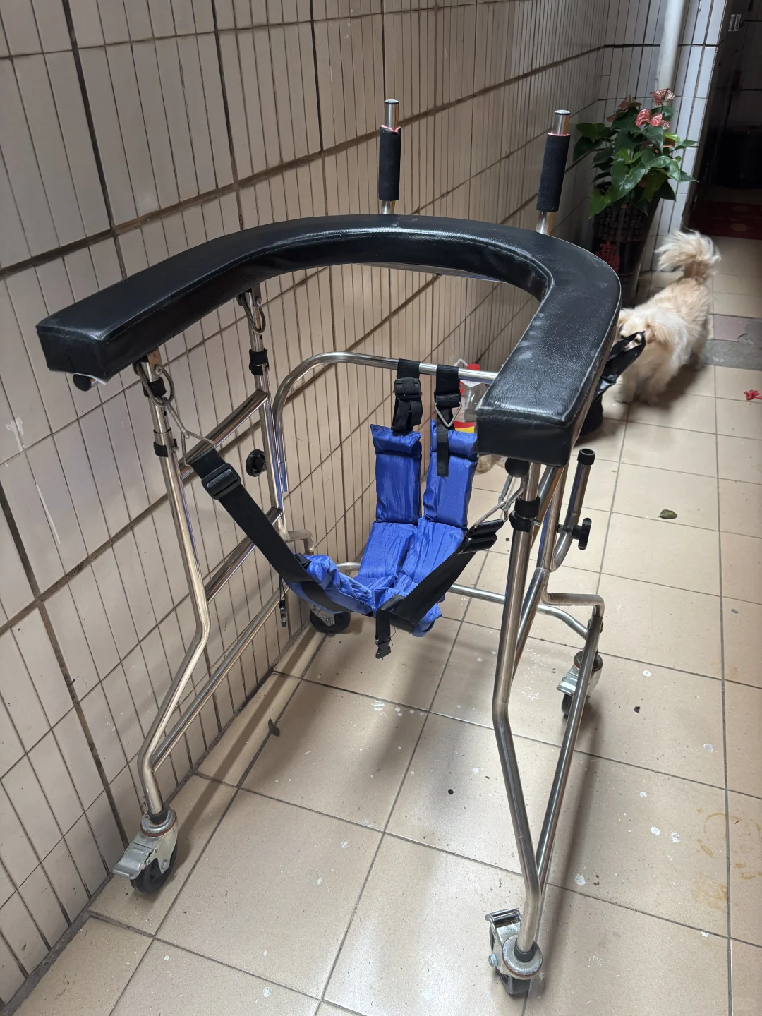 老人学步器偏瘫康复走路辅助