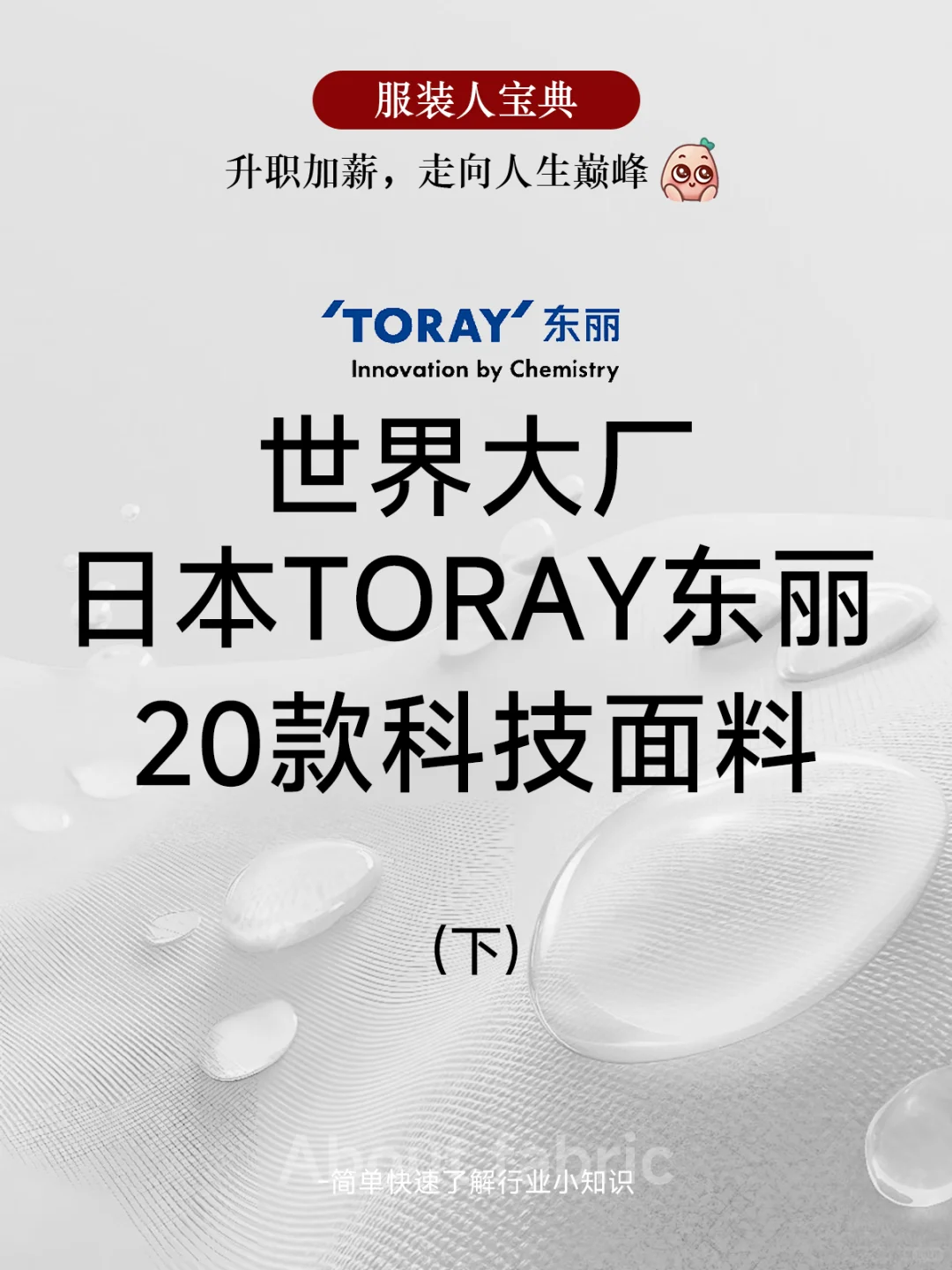 全球尖端科技面料供应商-日本东丽