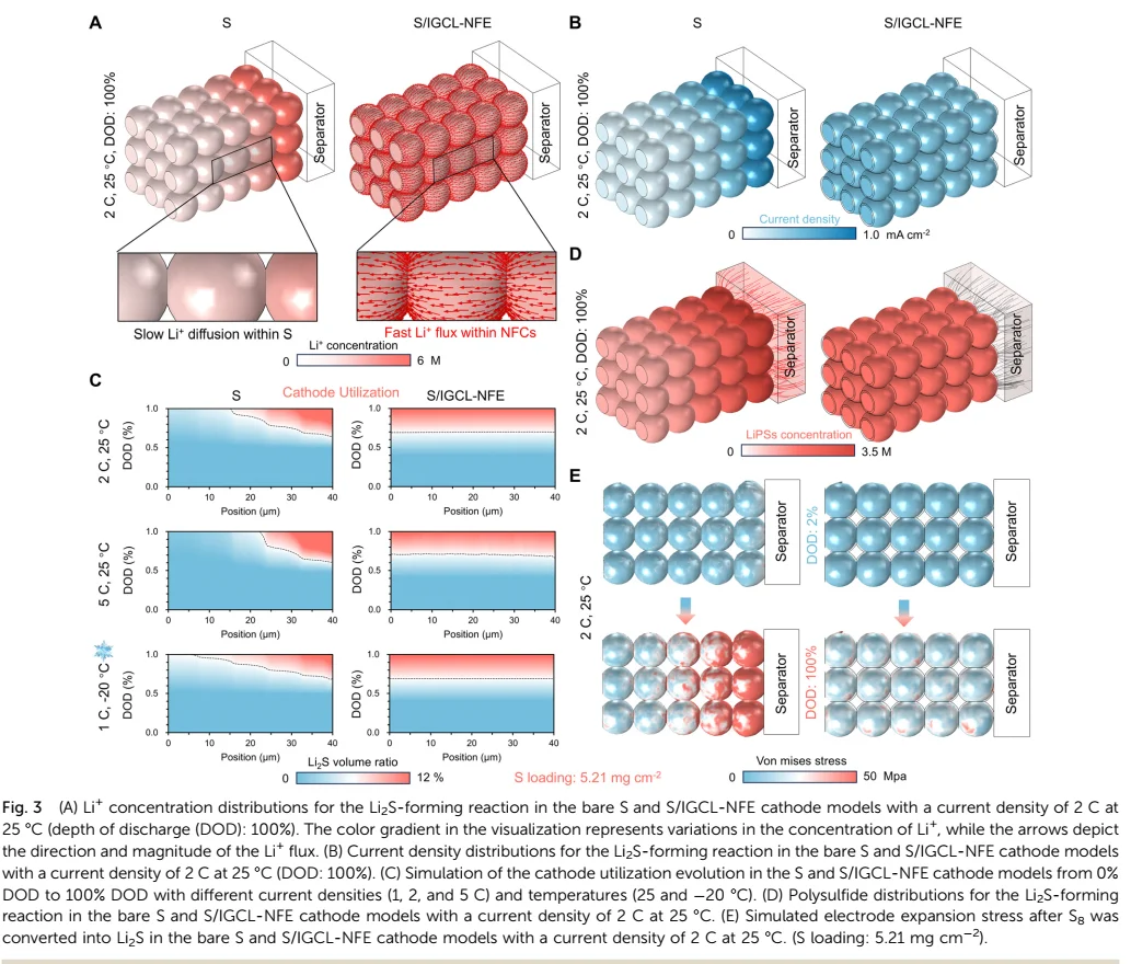 【锂硫】纳米流控效应的新型S/IGCL-NFE阴极