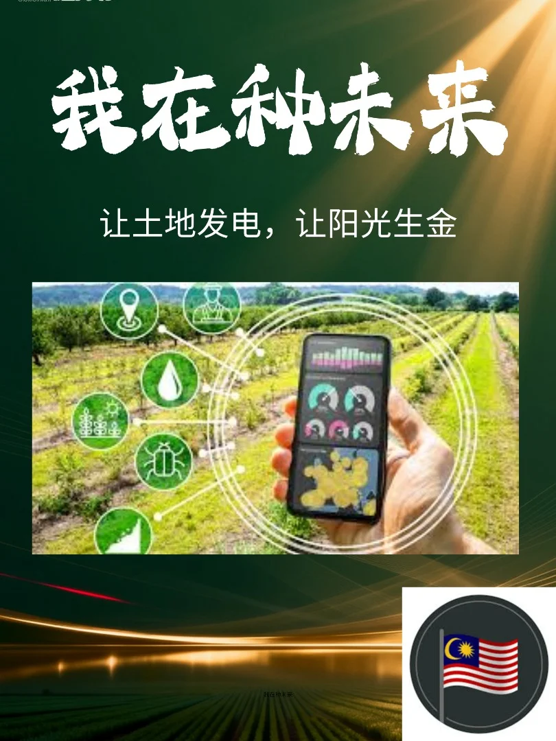 我在种未来, 让土地发电，让阳光生金