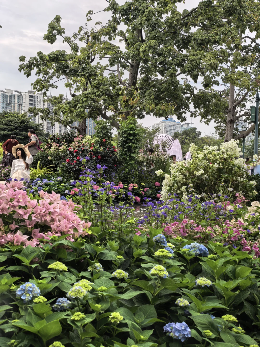 出片又舒服攻略!来广州园博会吃雪糕拍照照