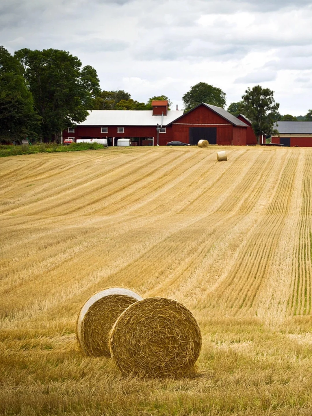 生物质能在新能源领域有发展机会吗?