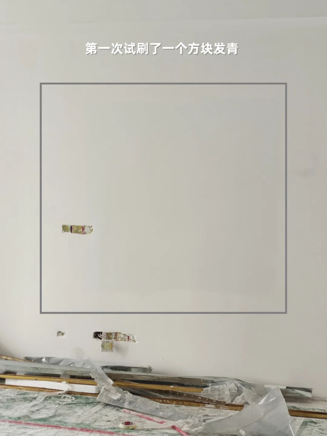 多乐士028配爱格w1000太完美了。