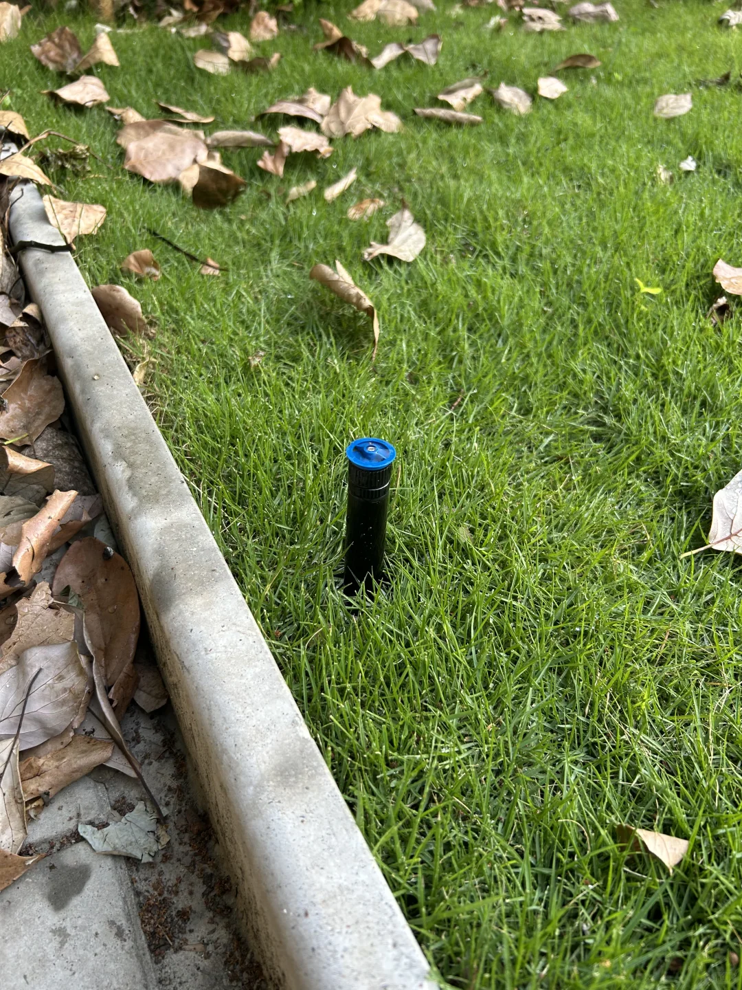 草坪的灌溉系统踩坑