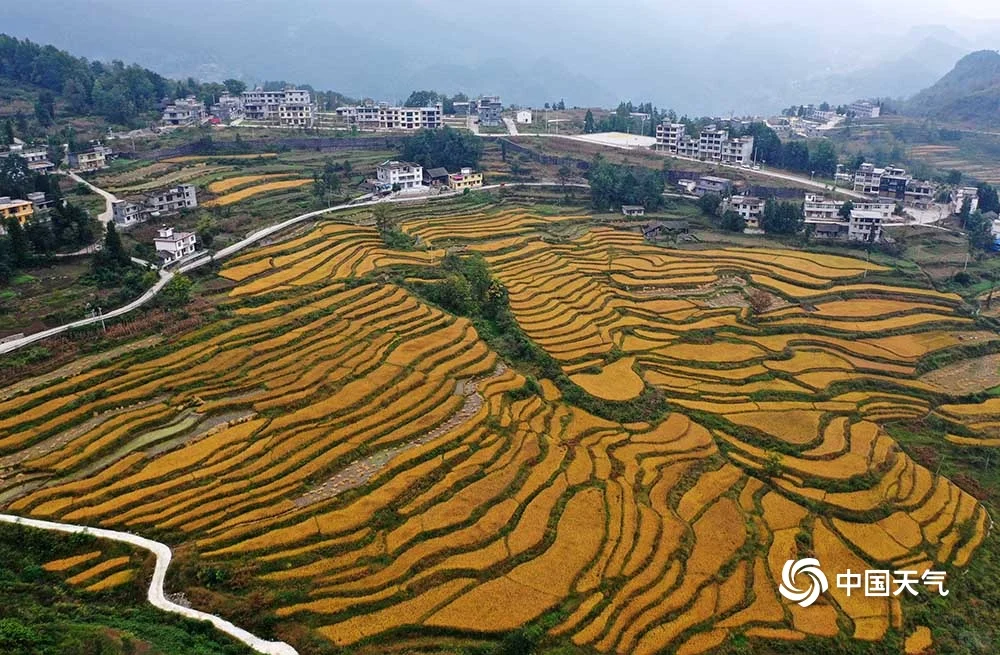 ?秋分望秋实!全国秋收地图超全版