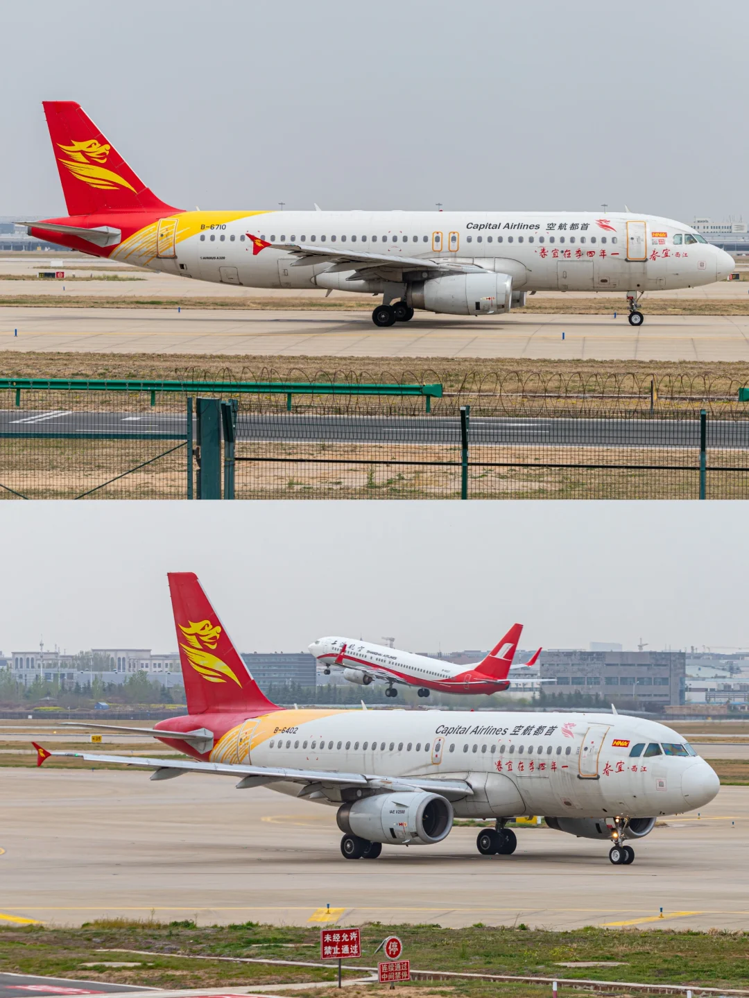 CGO 郑州新郑机场拍机（客机篇）