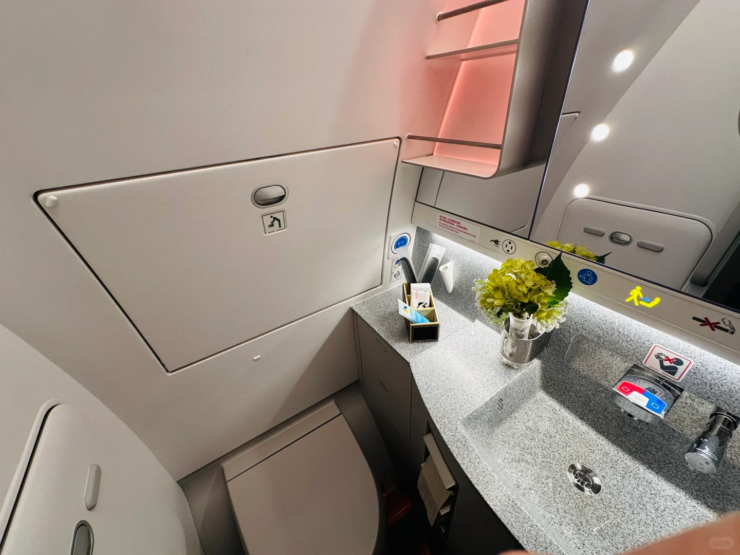 四川航空熊猫小飞侠 A350公务舱体验?️